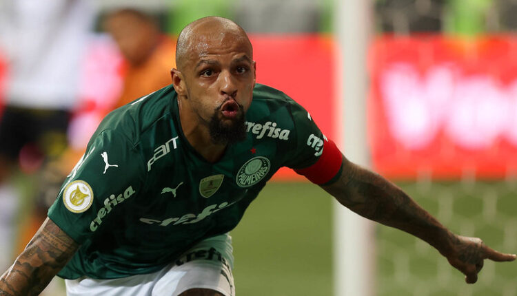 A nova cara do Palmeiras