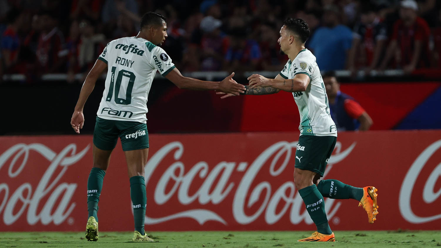 Palmeiras na boa