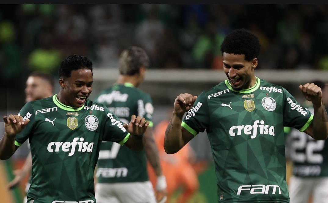 Palmeiras na boa